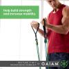 Gaiam 3-in-1 Resistance Band Kit with Comfort-Grip Handles and Interchangeable Strength Bands for High Intensity Training(1 EA)