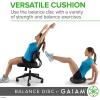Gaiam Balance Disc Wobble Cushion Stability Core Trainer for Home or Office Desk Chair & Kids Alternative Classroom Sensory Wiggle Seat(Black)
