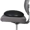 Gaiam Balance Disc Wobble Cushion Stability Core Trainer for Home or Office Desk Chair & Kids Alternative Classroom Sensory Wiggle Seat(Black)
