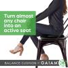 Gaiam Balance Disc Wobble Cushion Stability Core Trainer for Home or Office Desk Chair & Kids Alternative Classroom Sensory Wiggle Seat(Black Cushion)