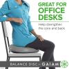 Gaiam Balance Disc Wobble Cushion Stability Core Trainer for Home or Office Desk Chair & Kids Alternative Classroom Sensory Wiggle Seat(Grey)