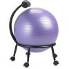 Gaiam Custom-Fit Balance Ball Chair – Exercise Stability Ball Adjustable Desk Chair for Home or Office with 55cm Yoga Ball, Air Pump, Exercise Guide and Satisfaction Guarantee