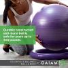 Gaiam Essentials Balance Ball & Base Kit, 65cm Yoga Ball Chair, Exercise Ball with Inflatable Ring Base for Home or Office Desk, Includes Air Pump(Grey)