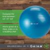 Gaiam Kids Balance Ball Chair – Classic Children’s Stability Ball Chair, Alternative School Classroom Flexible Desk Seating for Active Students with Satisfaction Guarantee, Blue/Green(Blue/Green)