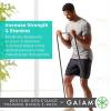 Gaiam Restore Resistance Training Workout Pull Up Bands 3 Pack – Extra-Strong Durable Progressive Resistance Exercise Loop Cords for Assisted Pull Ups and Strength Bands Training
