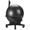Gaiam Ultimate Balance Ball Chair (Standard or Swivel Base Option) – Premium Exercise Stability Yoga Ball Ergonomic Chair for Home and Office Desk – 52cm Anti-Burst Ball, Air Pump, Exercise Guide(Standard Base (Black))