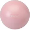 Gaiam Mini Ab Ball, 8 Inch Inflatable Anti-Burst Exercise Ball for Core Strength, Pilates, Yoga, and Physical Therapy, Includes Inflation Straw, Plug & Downloadable Exercise Guide(Romance Rose)