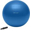 Gaiam Total Body Exercise Balance Stability Yoga Ball, Anti-Burst with Air Pump for Home, Office Chair, and Fitness – Various Sizes(Blue)