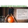 Gaiam Balance Ball Chair