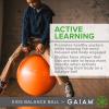 Gaiam Balance Ball Chair