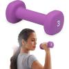 Gaiam Dumbbell Hand Weight (Sold in Singles) – Neoprene Coated Exercise & Fitness Dumbbell for Home Gym Workouts and Strength Training – Free Weights for Women and Men (3lb, Purple)