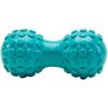 Gaiam Restore Dual-Zone Back Massage Roller Blue