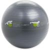 Gaiam Restore Self-Guided Stability Ball, 65cm