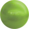 Gaiam Restore Strong Back Stability Ball Kit