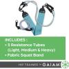 Gaiam Squat Band & Hip Trainer Set – Fabric Resistance Band with 3 Adjustable Resistance Tubes, Home Gym Equipment to Exercise Thigh, Leg, Hip, Glute, Booty & Core – Home Gym & Travel Workout Bands
