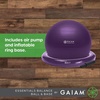 Gaiam Essentials Balance Ball & Base Kit, Yoga Ball Chair, Exercise Ball with Inflatable Ring Base for Home or Office Desk, Includes Air Pump(Black)